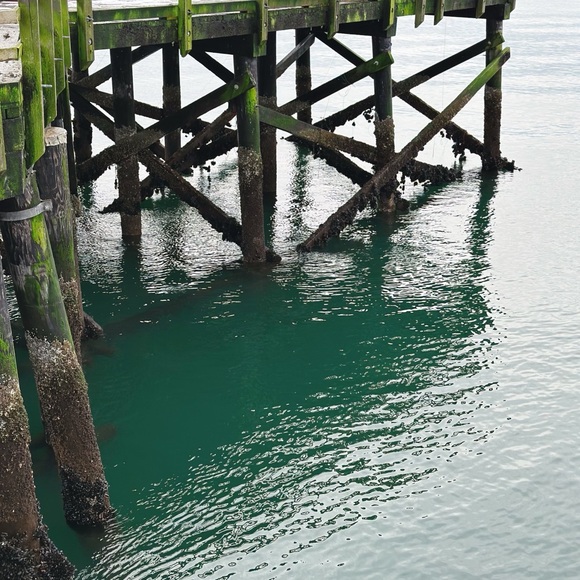 Meet your Posher, Zae - Picture 1 of 1